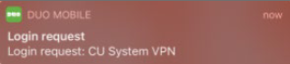VPN Login Request